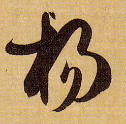 杨的书法