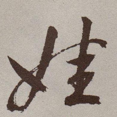 娃的书法