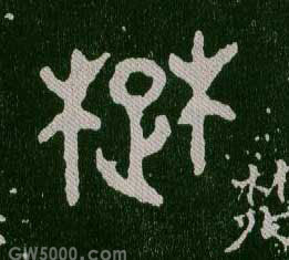 楚的书法