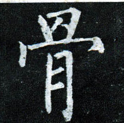 骨的书法