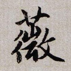 薇的书法