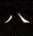 八的书法
