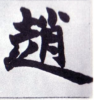 赵的书法
