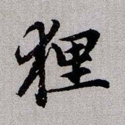 狸的书法