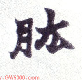 肱的书法