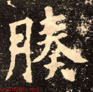 腠的书法