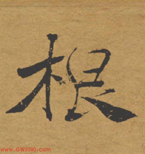 根的书法