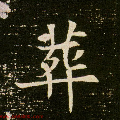 葬的书法