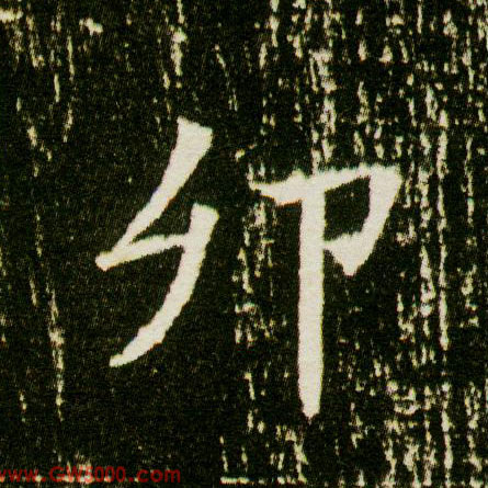 卯的书法
