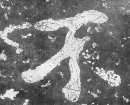 不的书法