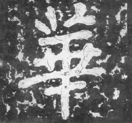 华[華]的书法