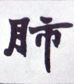 肺的书法