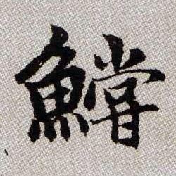 鱨【鲿】的书法