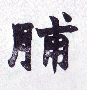 脯的书法