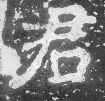 君的书法