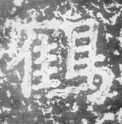 鹤的书法