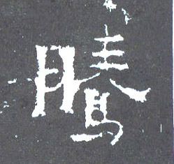騰【腾】的书法