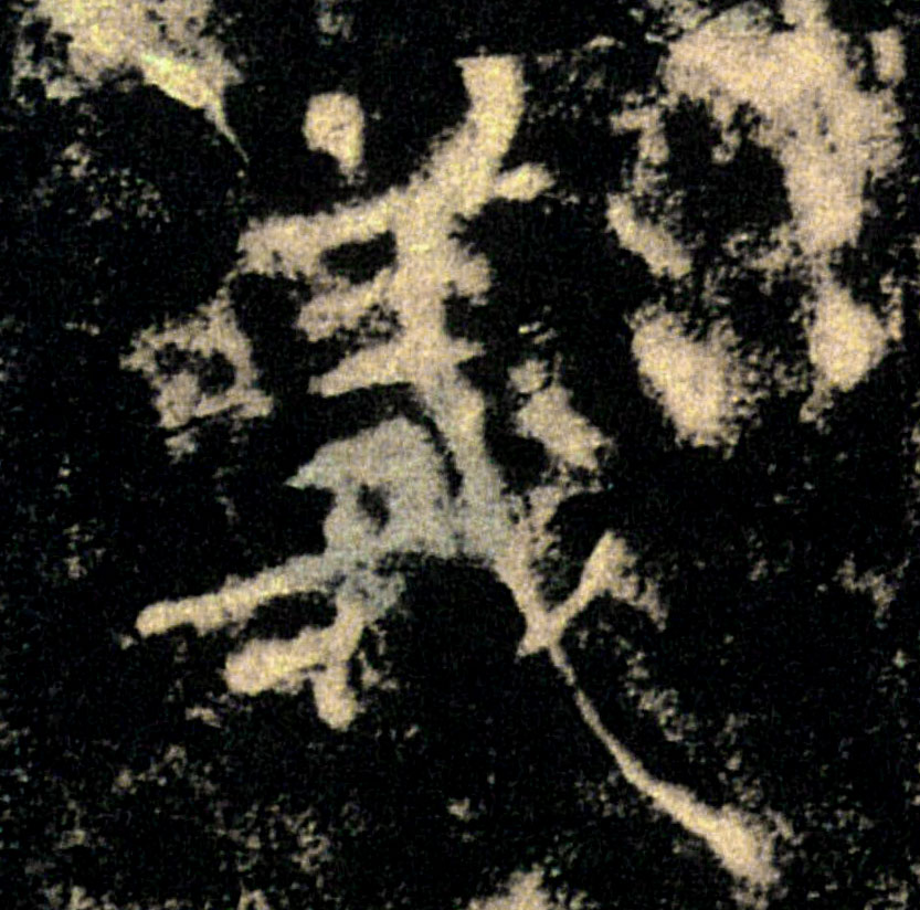義【义】的书法
