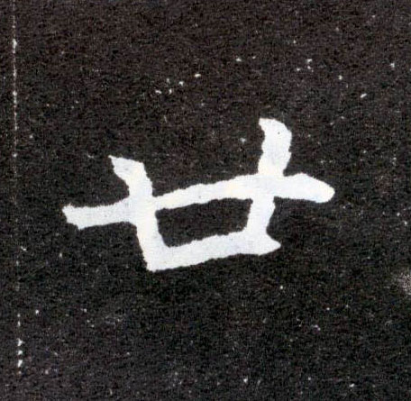 廿的书法