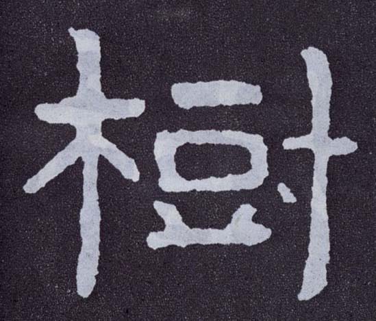 树的书法
