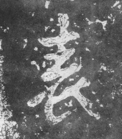 表的书法