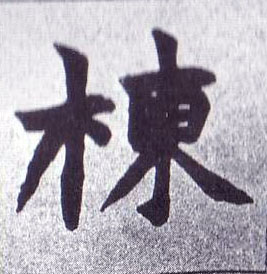 栋的书法