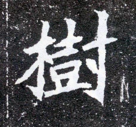 树的书法