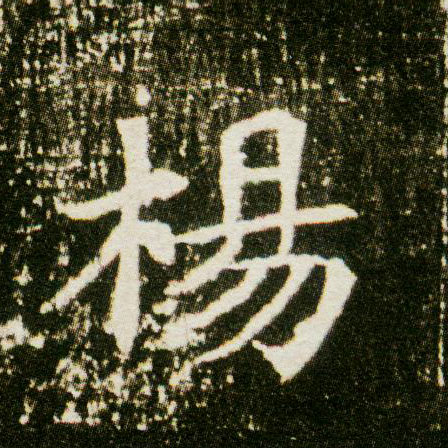 杨的书法
