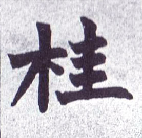 桂的书法