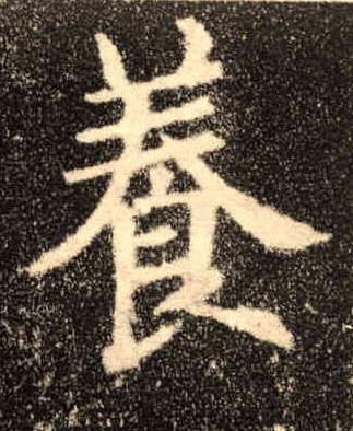 養 【养】的书法