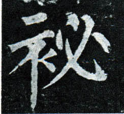 秘的书法