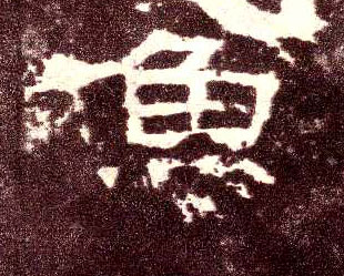 鱼的书法