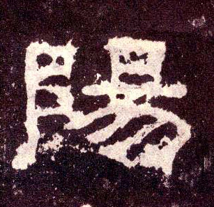 陽【阳】的书法