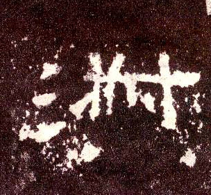 淑的书法