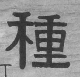 种[種]的书法