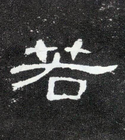 若的书法