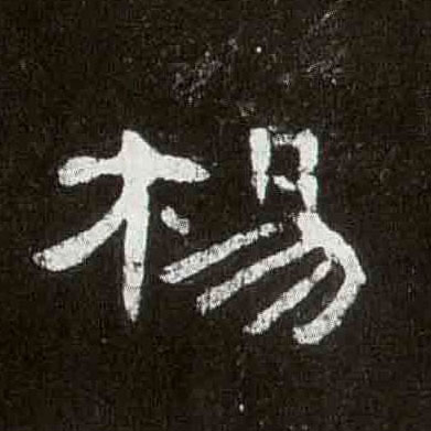 杨的书法
