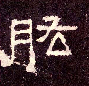 肱的书法
