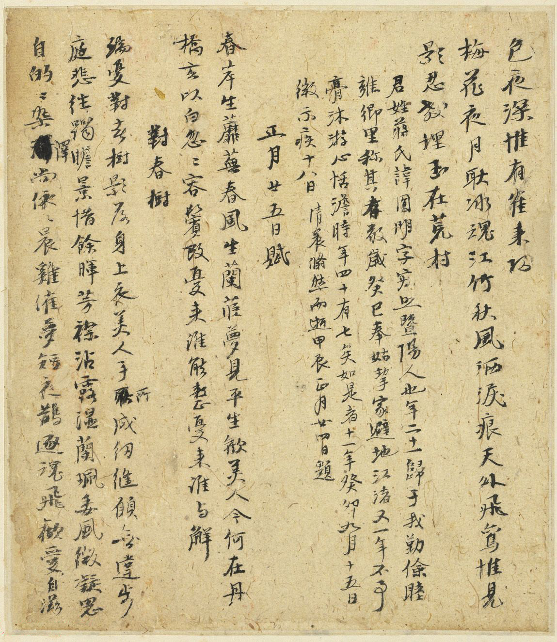 元代倪瓒自书诗稿《述怀》册