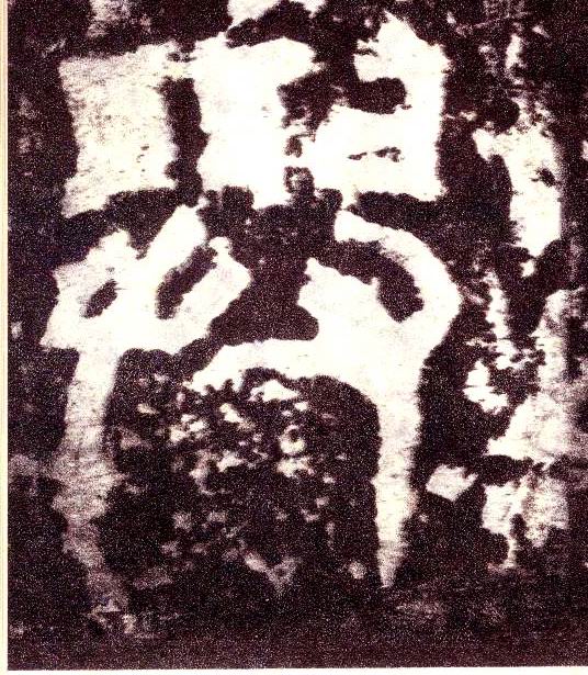 与的书法