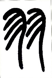 羽的书法