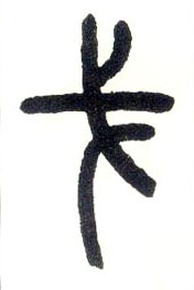 戈的书法