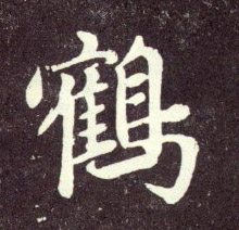鹤的书法