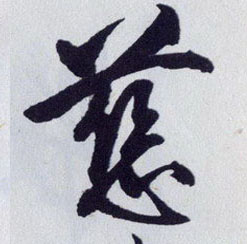 慈的书法