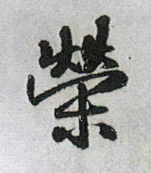 荣的书法