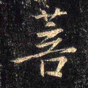 菩的书法