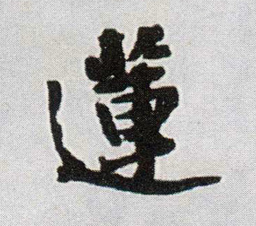 莲的书法