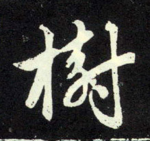 树的书法
