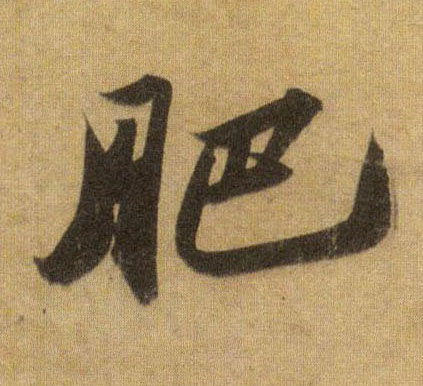 肥的书法