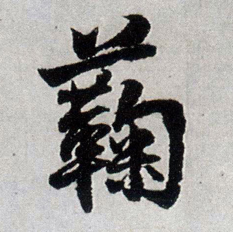 蘜[菊]的书法